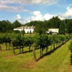 Stonefield Cellars Winery